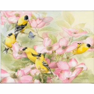 Crowded Dogwood – Goldfinches – 9" x 12" Gallery Wrapped Canvas