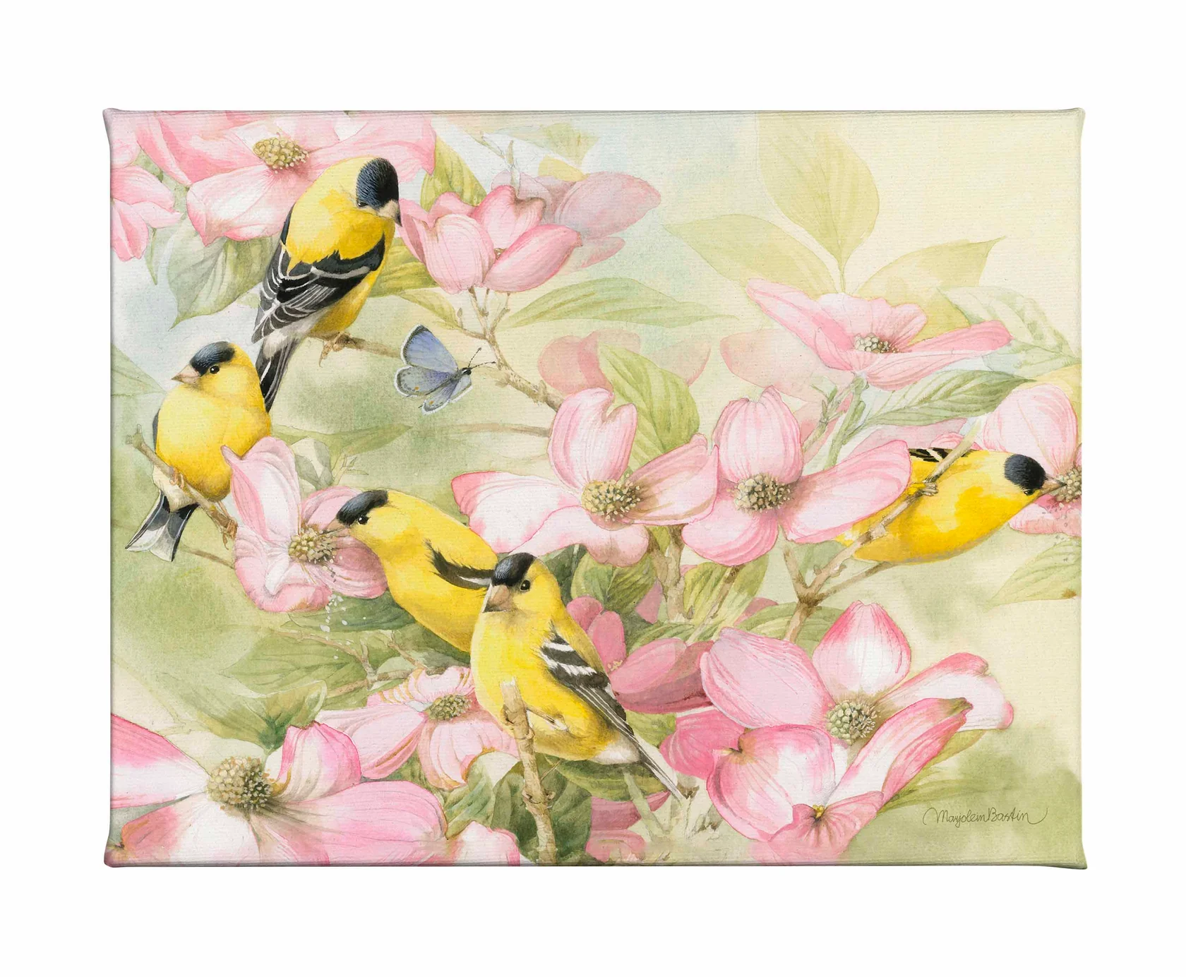 Crowded Dogwood Gallery Wrapped Canvas