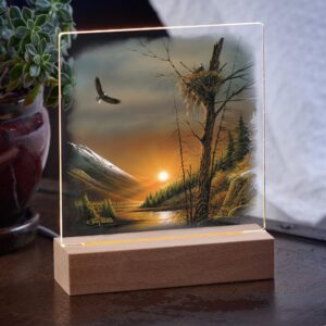 Flying Free – Bald Eagles – Acrylic Night Light