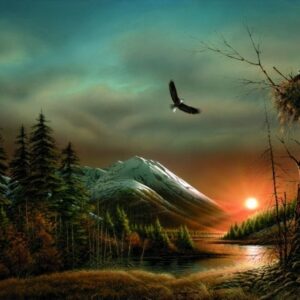 Flying Free – Bald Eagles – Elite Print
