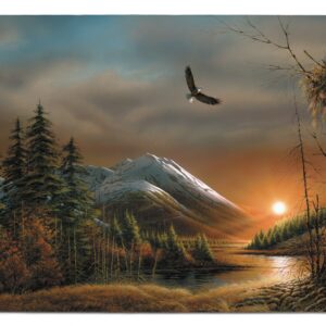 Flying Free – Bald Eagles – 2×4 Floor Mat