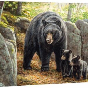 Northwoods Springtime - Black Bear - 24" x 36" Gallery Wrapped Canvas