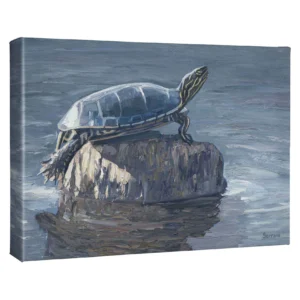 Painted Turtle - 13"H x 18"W Gallery Wrapped Canvas
