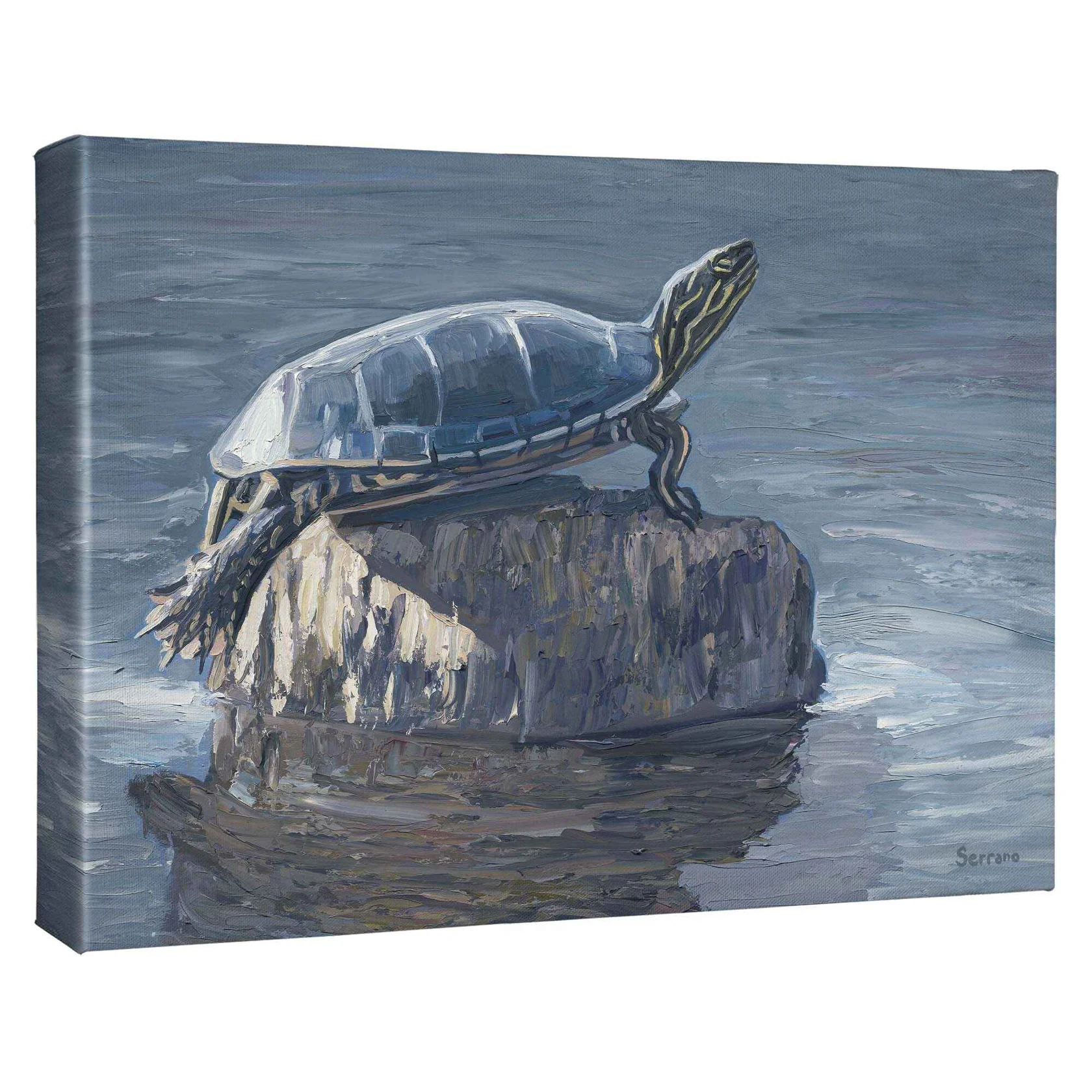 Painted Turtle - 13"H x 18"W Gallery Wrapped Canvas