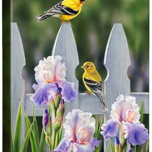 Picket Fence - Goldfinches - 18" x 13" Gallery Wrapped Canvas