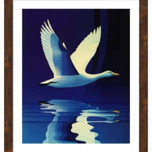 Reflections in Flight - Swan Over Tranquil Waters - Art Prints