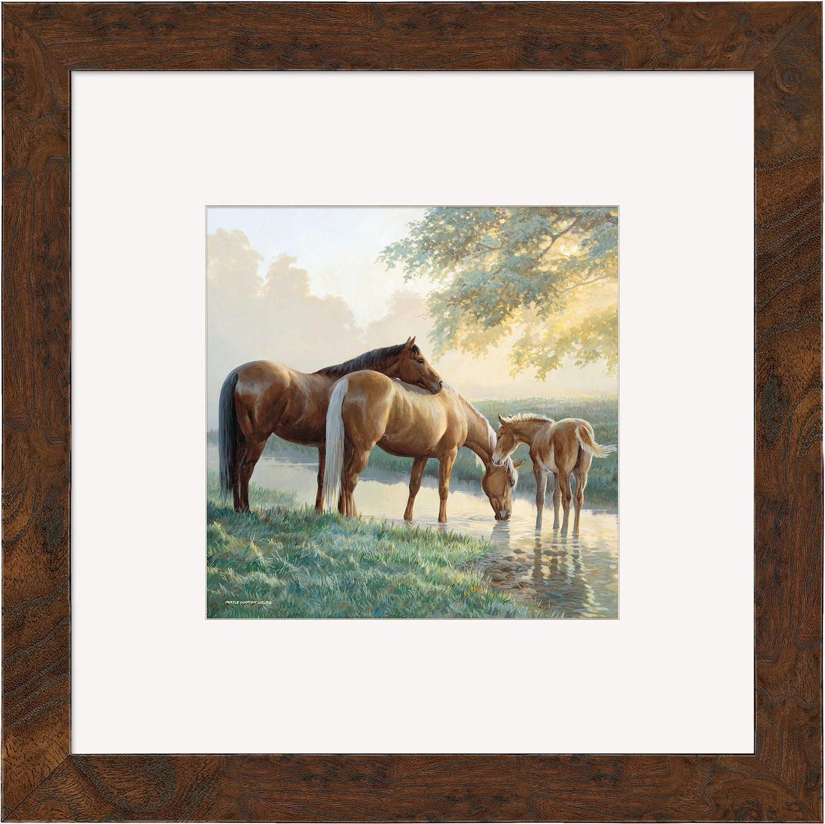 Spring Morning – Horses – Contempo Square