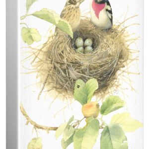 Starting a Family of Rose Breasted Grosbeaks - 12" x 9" Gallery Wrapped Canvas