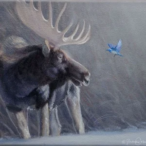 The Messenger - Bull Moose and Mountain Bluebird - Open Edition Print by James Corwin