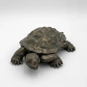 Tortuga Tortoise Handmade Ceramic Sculpture by Bronwen Weber
