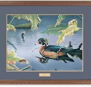 Tranquil Pond - Wood Duck - 17″ x 23″ GNA Premium Print