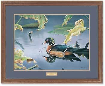 Tranquil Pond - Wood Duck - 17″ x 23″ GNA Premium Print