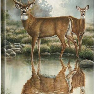 Tranquil Waters - Whitetail Deer - 20.5" x 16" Gallery Wrapped Canvas
