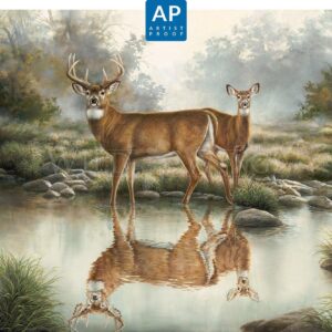 Tranquil Waters – Whitetail Deer – Artist Proof Edition
