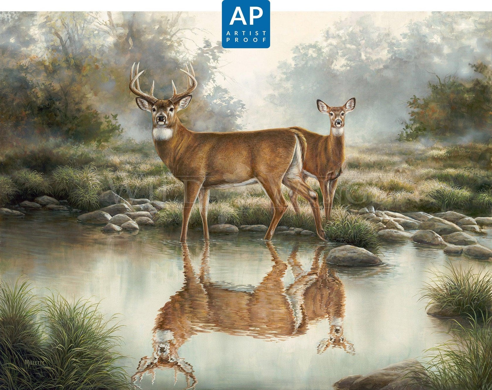 Tranquil Waters – Whitetail Deer – Artist Proof Edition