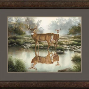 Tranquil Waters - Whitetail Deer - Limited Edition Paper