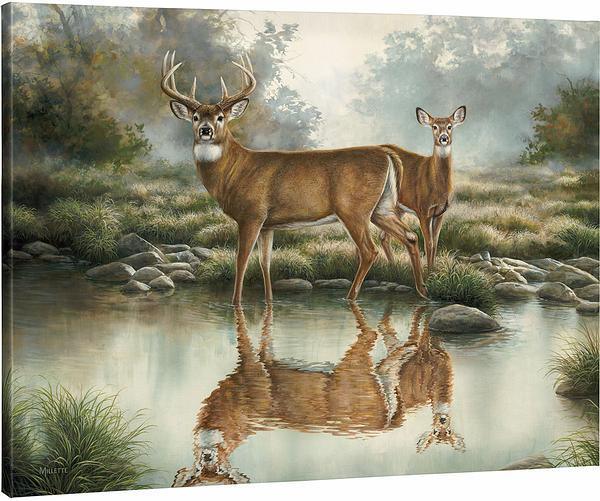 Tranquil Waters - Whitetail Deer - 33.5" x 45.5" Gallery Wrapped Canvas
