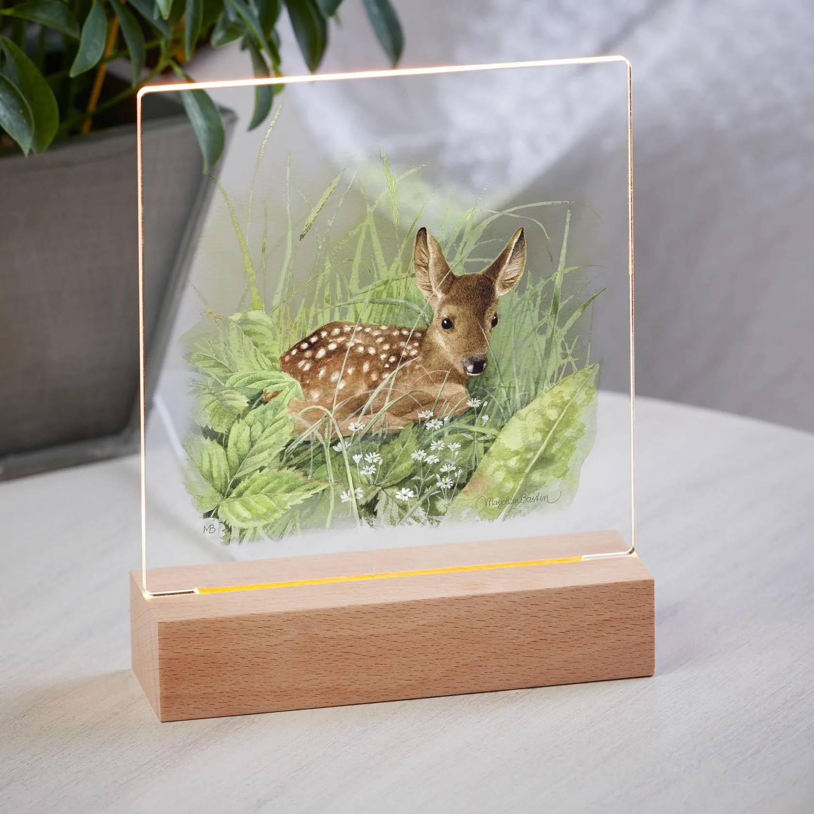 Waiting for Mom – Deer Fawn – Acrylic Night Light