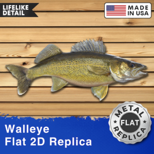 30-inch 2D Walleye Replica Wall Art