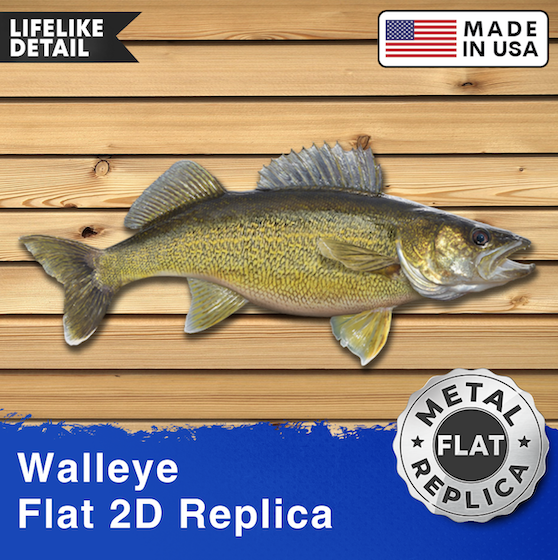 30-inch 2D Walleye Replica Wall Art