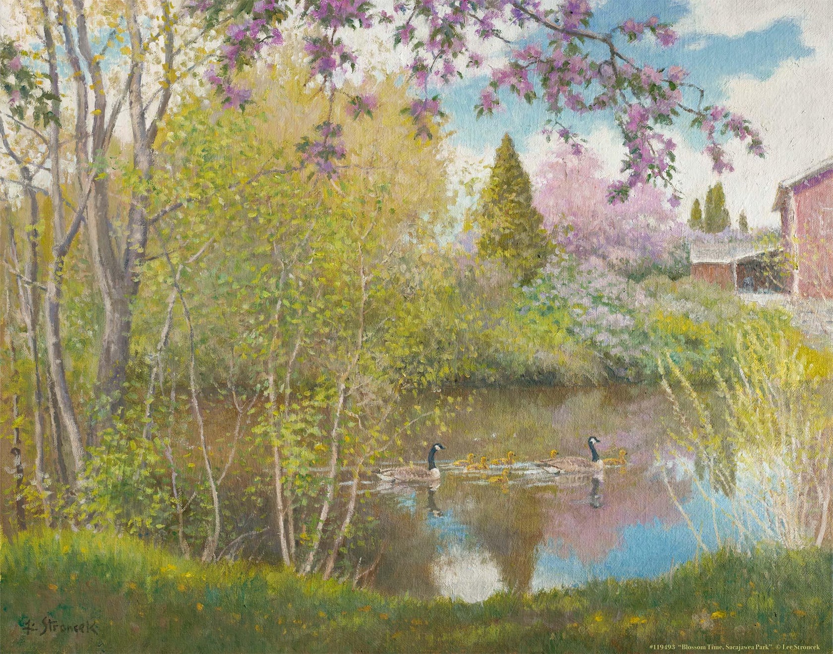 Blossom Time, Sacajawea Park - 11″ x 14″ Art Print