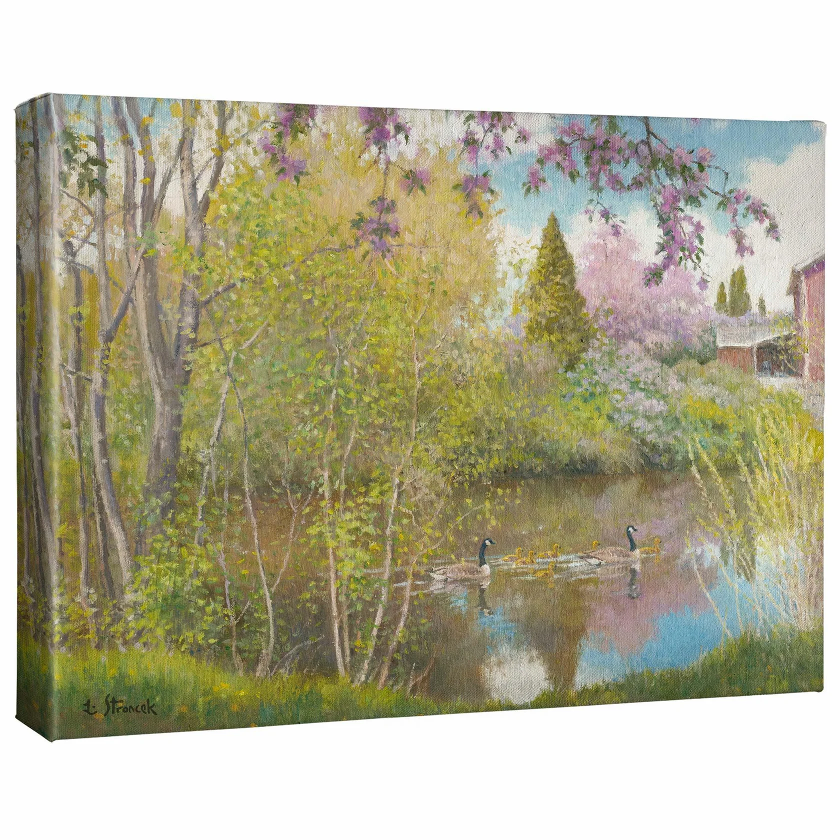 Blossom Time, Sacajawea Park - 13" x 18" Gallery Wrapped Canvas