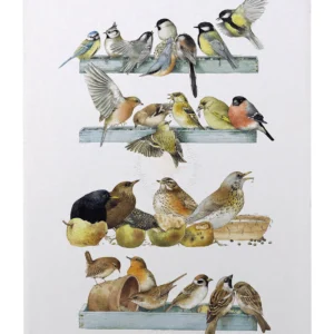 Fast Food Counter - Wild Bird Feeding - 12" x 9" Gallery Wrapped Canvas