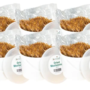 JCS Wildlife Dried Mealworm Pail - 10oz (6 Count)