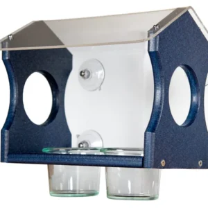 JCS Wildlife Window Mount Bluebird Mealworm Feeder