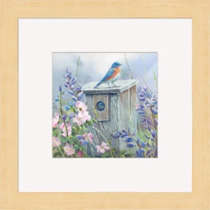Meadow View - Eastern Bluebird - Paper Print
