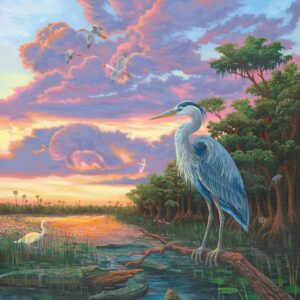 Spirit of Everglades - Great Blue Heron - 11″ x 14″ Art Print