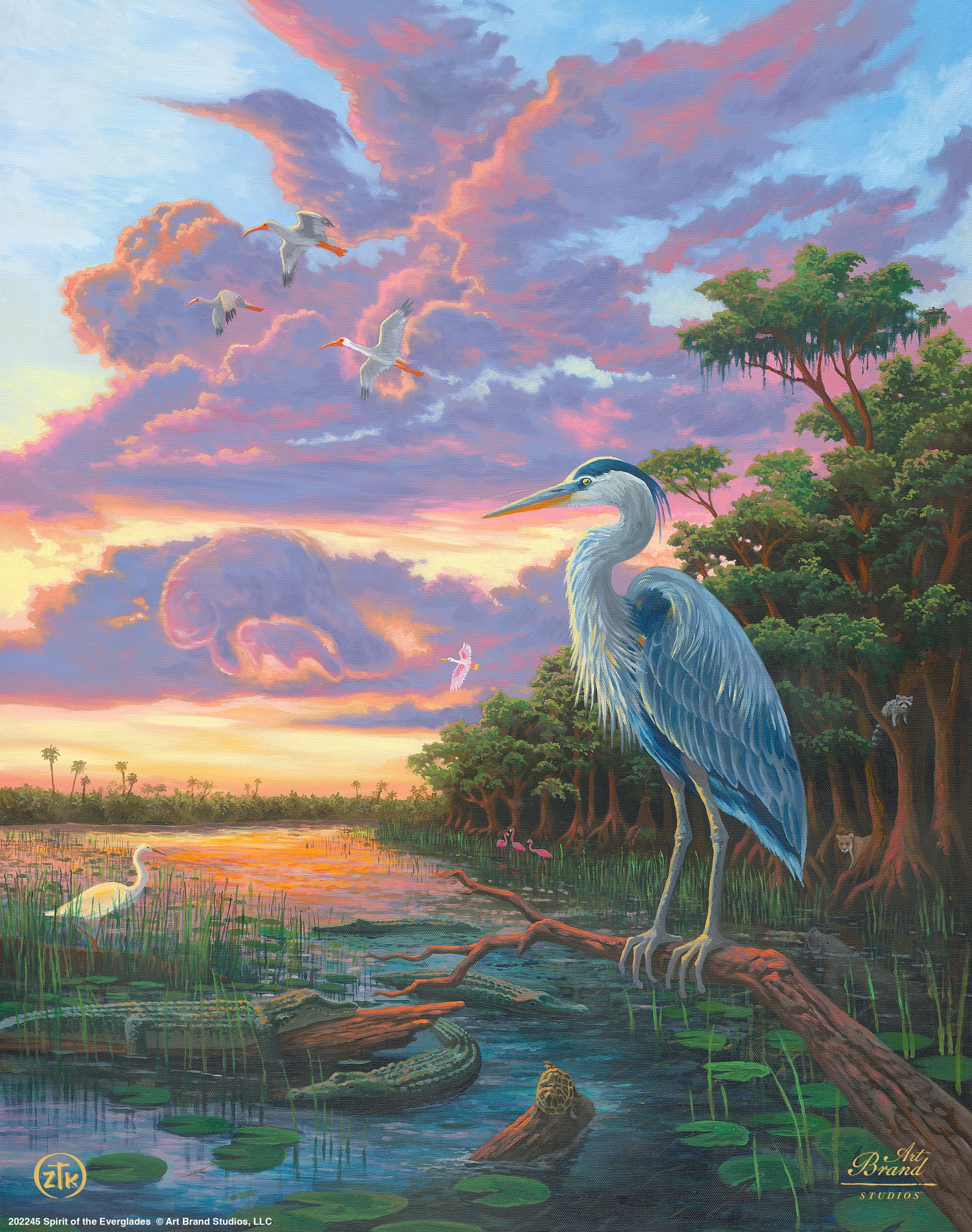 Spirit of Everglades - Great Blue Heron - 11″ x 14″ Art Print