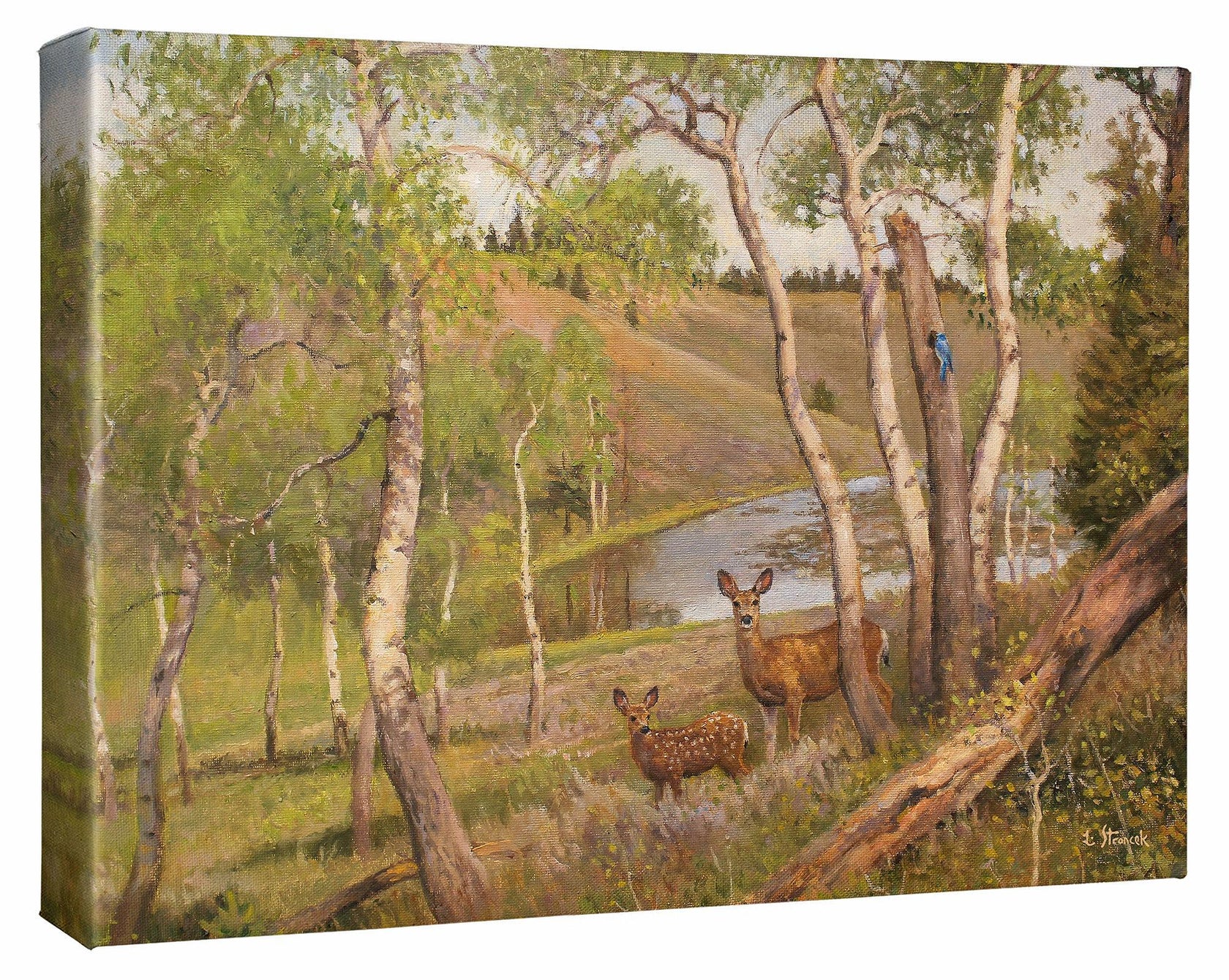 The Bluebird Grove - 13" x 18" Gallery Wrapped Canvas
