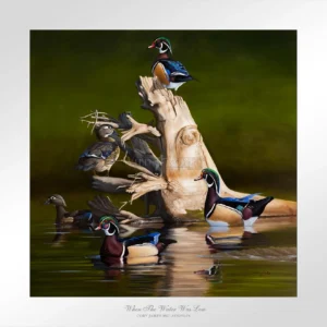 When the Water was Low - Wood Ducks - Limited Edition Paper