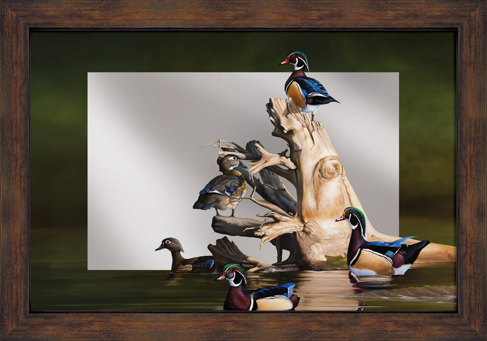 When the Water was Low - Wood Ducks - 24" x 16" Mirror Framed Barnwood