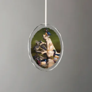 When the Water was Low - Wood Ducks - Oval Glass Ornament