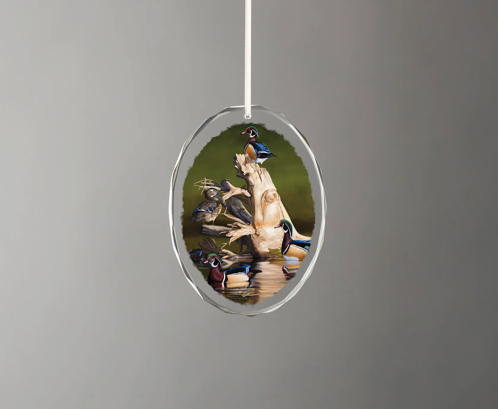 When the Water was Low - Wood Ducks - Oval Glass Ornament