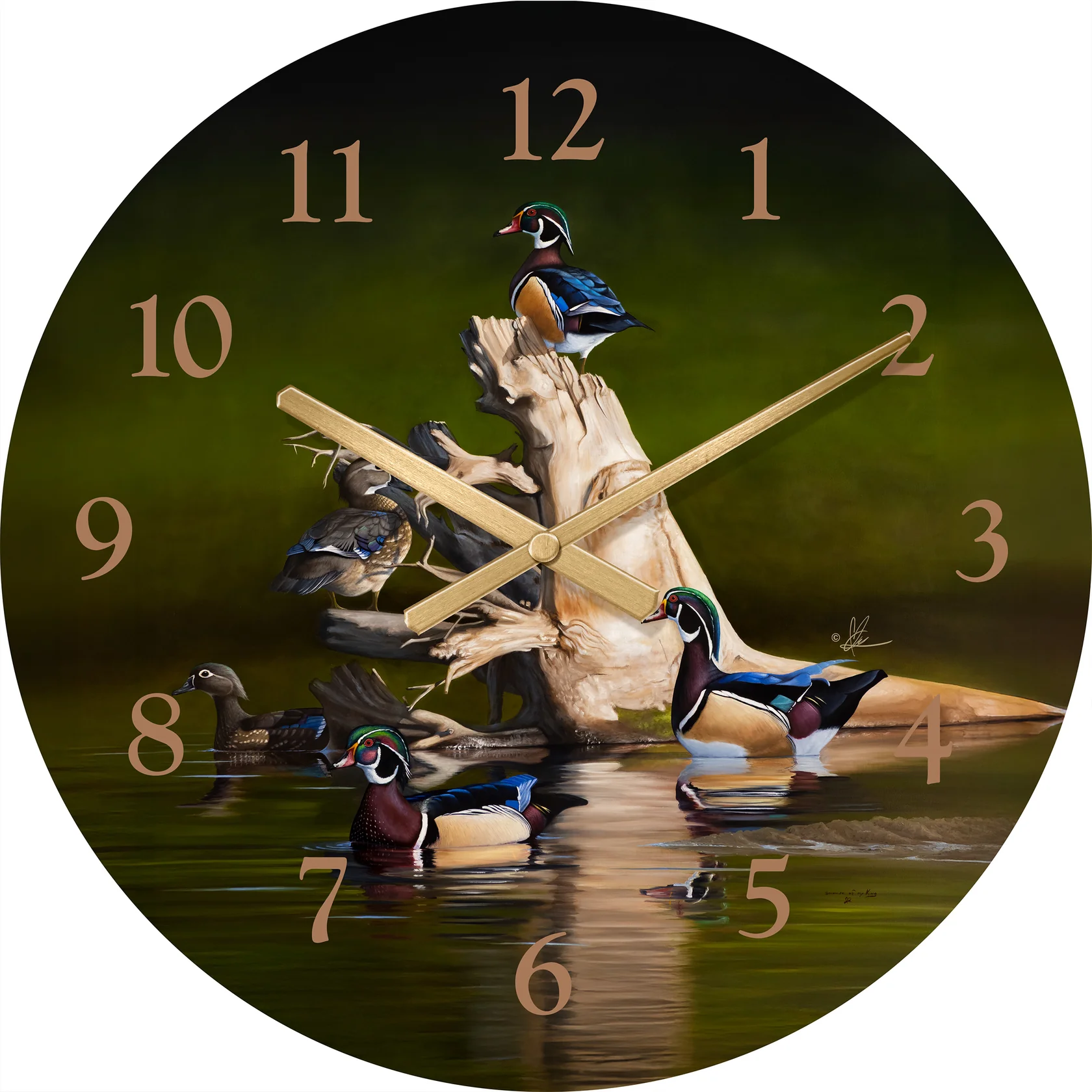 When the Water was Low - Wood Ducks - 21" Round Clock