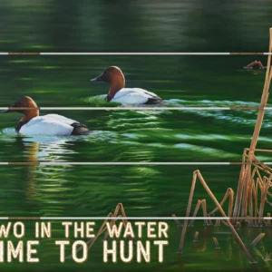 A Beautiful Day - Canvasback - 18" x 22" Pallet Wall Art