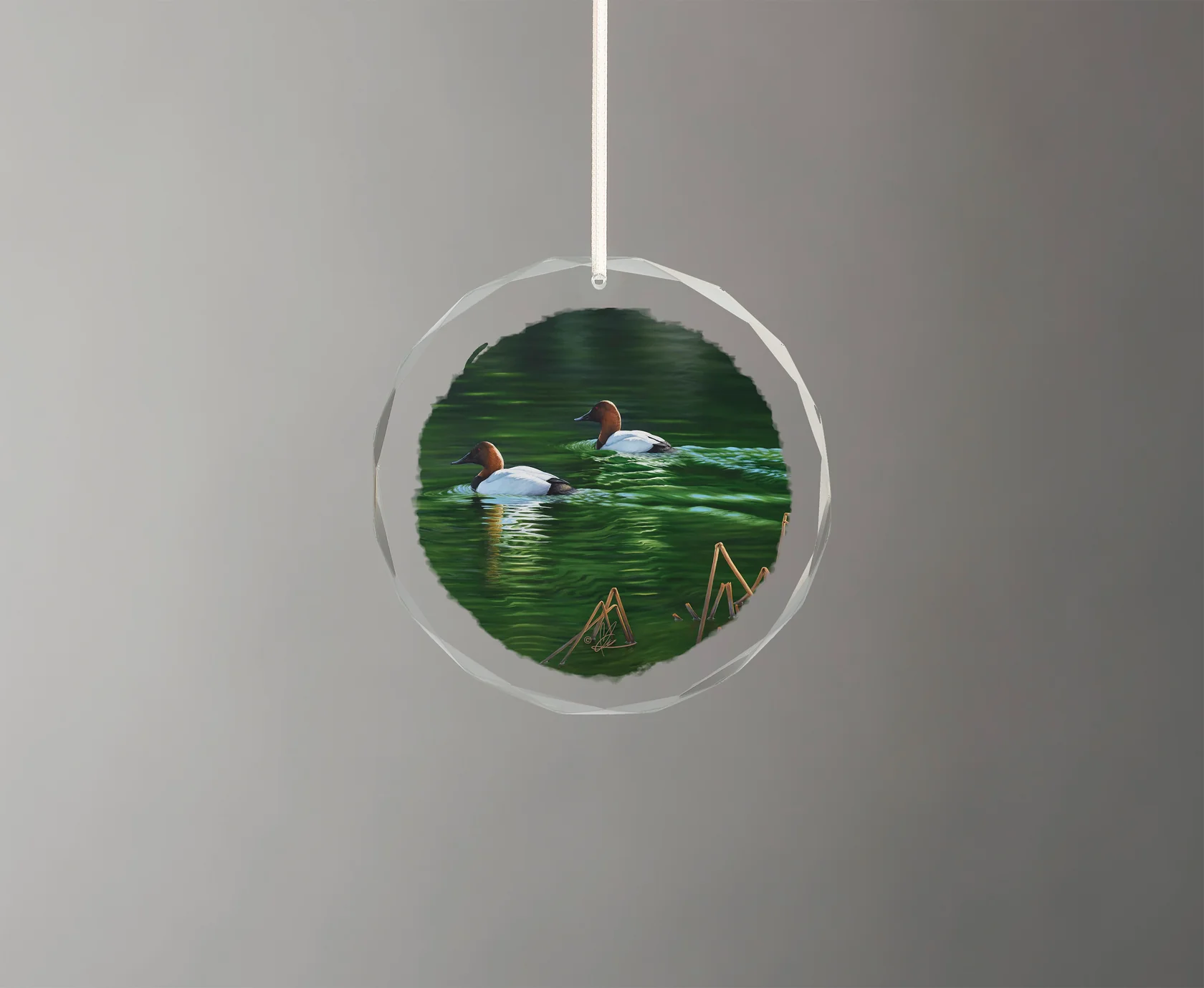 A Beautiful Day - Canvasback - Round Glass Ornament