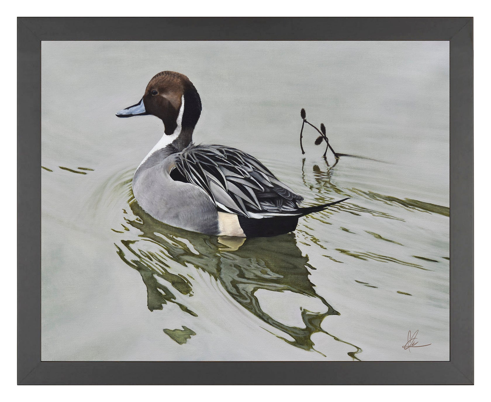A Grey Kind of Day - Northern Pintail - 11″ x 14″ Art Print