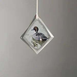 A Grey Kind of Day - Northern Pintail - Diamond Glass Ornament