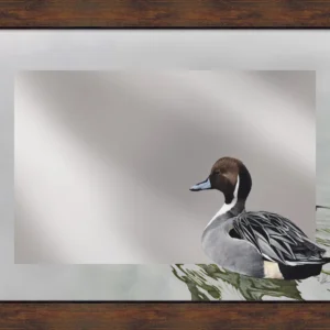 A Grey Kind of Day - Northern Pintail - 16" x 24" Mirror Framed Barnwood