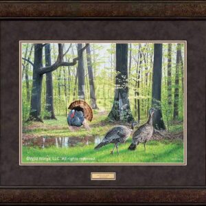 After the Rain - Turkeys - 17" x 23" GNA Premium Print