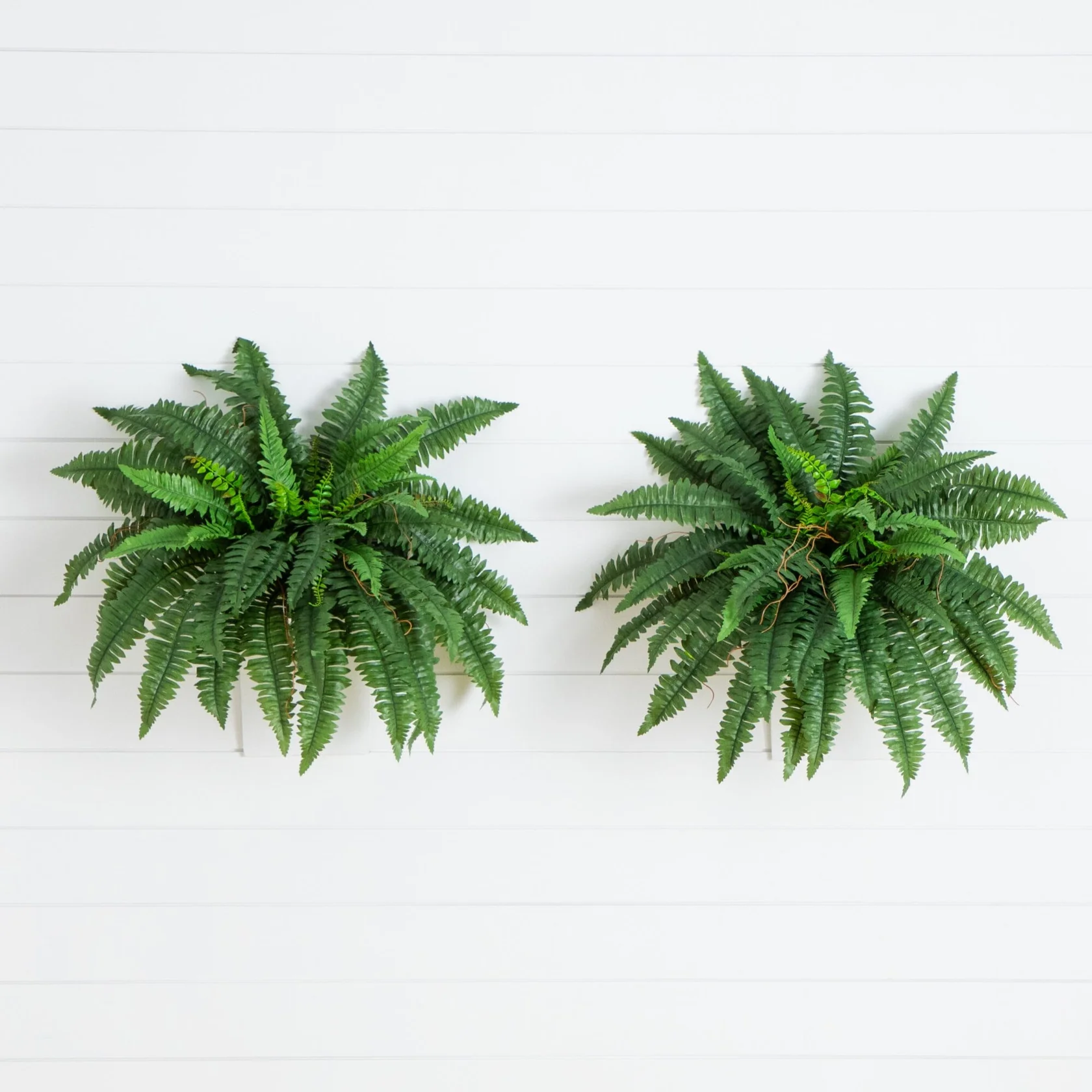 40β Artificial Boston Fern (Set of 2)