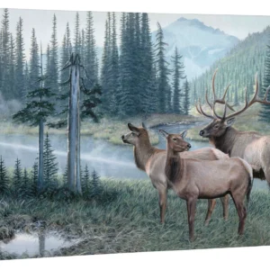 Coming Together - Elk - 24" x 36" Gallery Wrapped Canvas