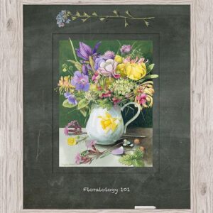 Daffodil Vase - Framed Print