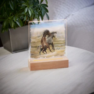Dusty Tussel - Wild Horses - Acrylic Night Light