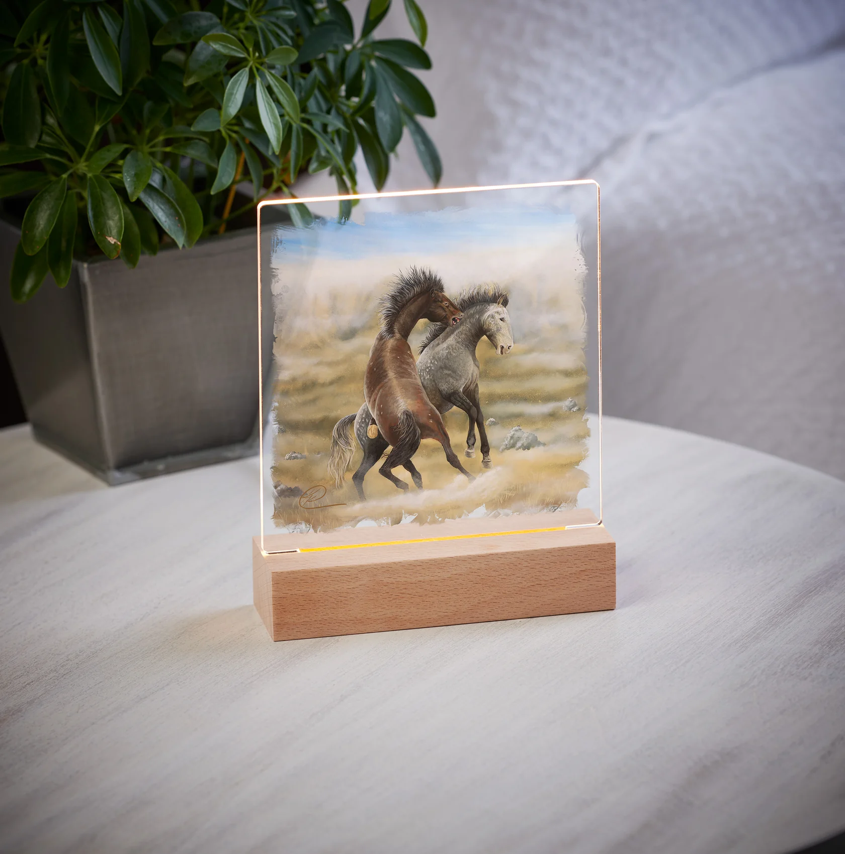 Dusty Tussel - Wild Horses - Acrylic Night Light