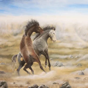Dusty Tussel - Wild Horses - 11″ x 14″ Art Print